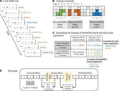 Access to Procedural Memories After One Year: Evidence for Robust Memory Consolidation in Tourette Syndrome